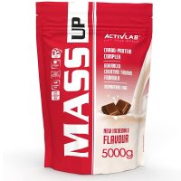 گینر مس اکتیولب 5 کیلوگرم ACTIVE LAB MASS UP